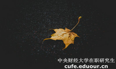 中央財經(jīng)大學(xué)在職研究生與課程研修班有哪些區(qū)別？