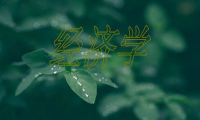 2018年中央財經(jīng)大學(xué)在職研究生經(jīng)濟學(xué)招生情況