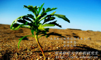 中央財(cái)經(jīng)大學(xué)在職研究生同等學(xué)力申碩有哪些優(yōu)勢(shì)？